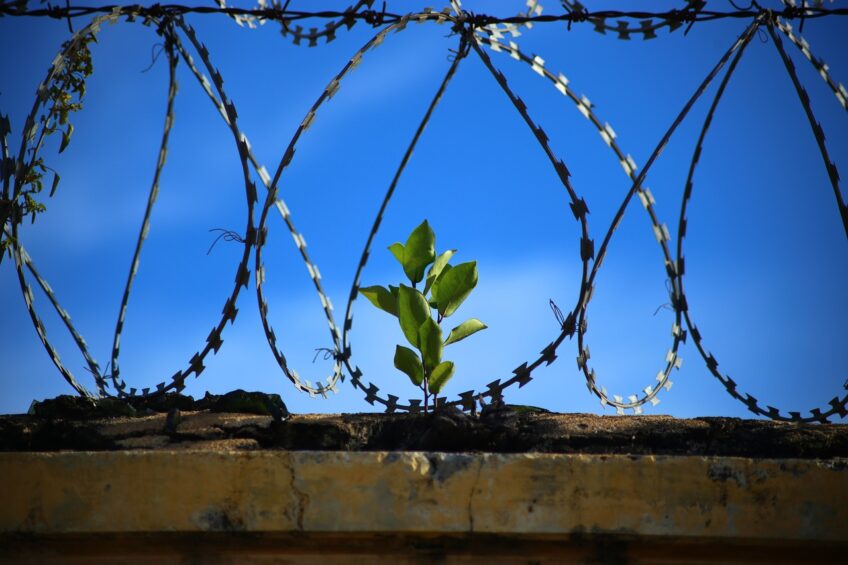 Les risques climatiques et environnementaux en prison : quels fondements juridiques pourraient être mobilisés pour faire reconnaître les obligations et responsabilités de l’Etat?
